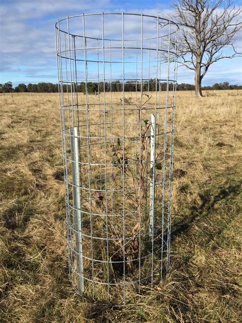 sheet metal tree guard|tree guards for larger trees.